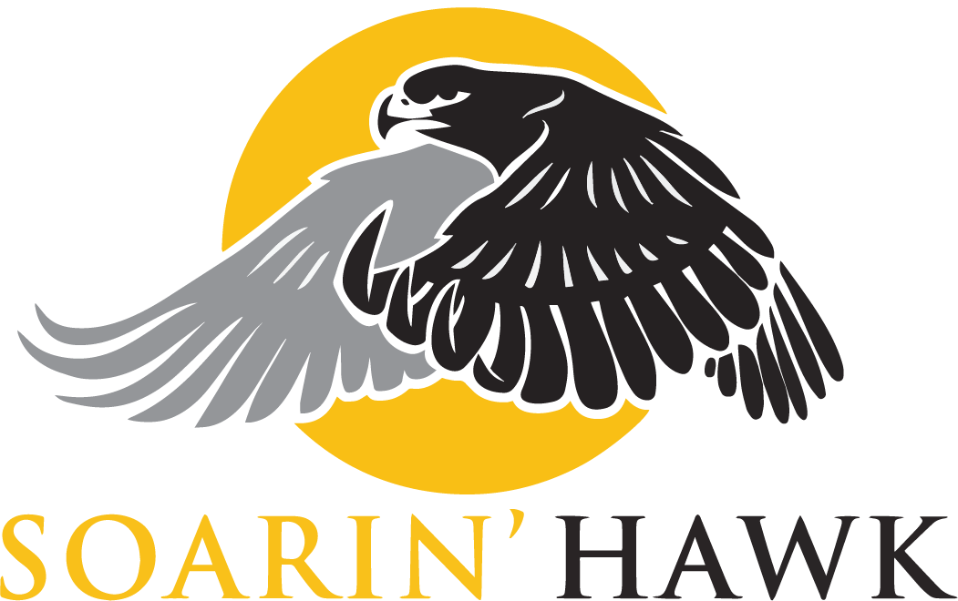 SOARIN' HAWK