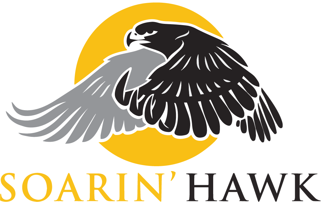 SOARIN’ HAWK_C2040E